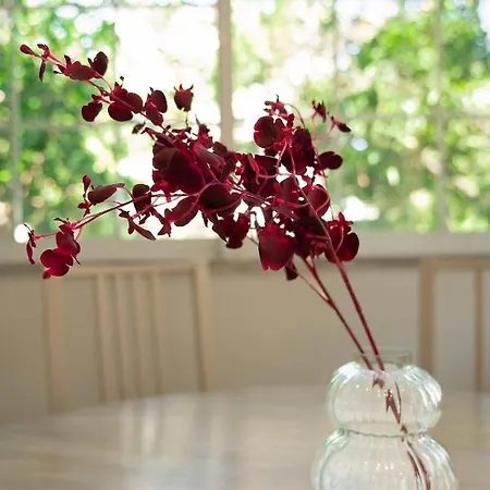 Joyful Secret Garden House By 8essentially 度假居 干尼亞