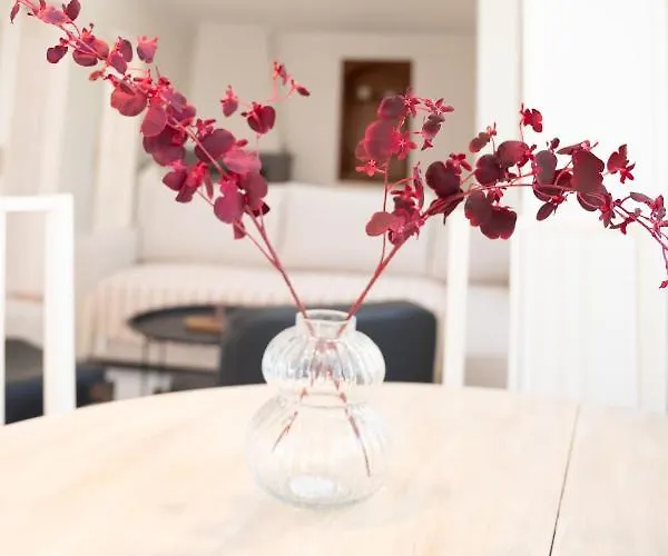 Joyful Secret Garden Downtown By 8essentially *