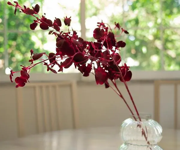 Joyful Secret Garden Downtown By 8essentially Casa vacanze La Canea