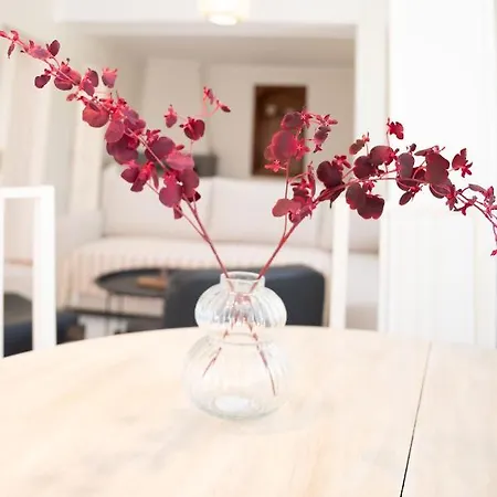 Joyful Secret Garden House *