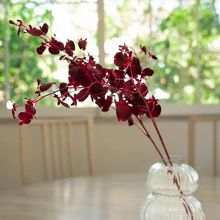 Joyful Secret Garden House 펜션 하니아